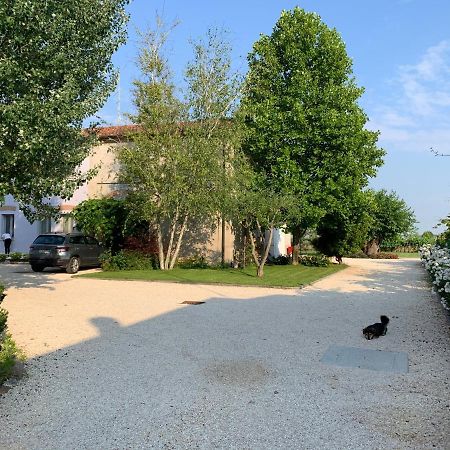 B&B Nonna Teresa Roverbella Eksteriør bilde